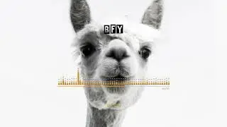 BFY - The End (Official Visualizer)