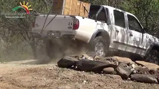 Leopard Relocation with Mpumalanga Tourism & Parks Agency