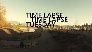 Time Lapse Tuesday|Carvolth Exchange