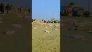 Palistine March...😭💔Faith In Allah SWT #shortvideo #status
