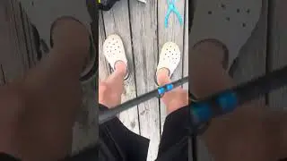 Fishing with some lures I got from Texas mtb box then fishing with pink flukes