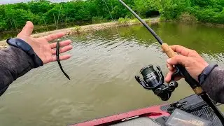 @SBFishing Late Spring Bass Fishing Buggs Island BFL!