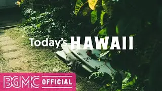 Surf Cafe Music - Hawaiian Music Instrumental for Resting, Relaxing and Unwinding
