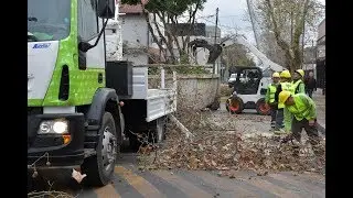 Se profundiza el Plan de Poda 2019 en San Fernando
