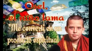 Hola Mundo! 🌍 El ni&ntilde;o Lama. Osel Hita #lama #oselhita #ni&ntilde;olama
