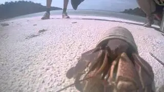 Trash Hero Camp Episode 11: Crab in a plastic House