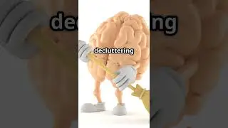 Your Brain's Secret Delete Button!