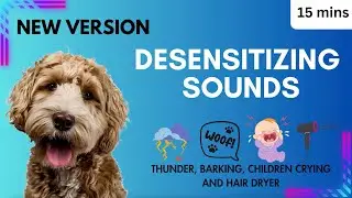 Dog Desensitizing Sounds Thunder, Barking, Children Crying, Hair Dryer Dog Desensitization Training