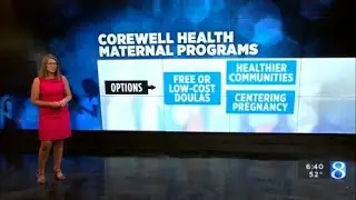 Perils of Pregnancy: The roles of race and mental health in maternal mortality