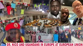 Just In: Bobi Wine's Case to European Union. Ugandans in Netherlands Protest To Demand For Bobi's Wi