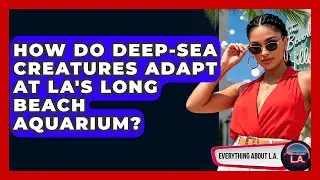 How Do Deep-sea Creatures Adapt At LA's Long Beach Aquarium? - Everything About LA
