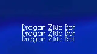 Dragan Zikic bot (Intro only) (2026 present)