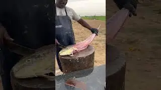 CHIRALA 📍#shorts #fish #youtube #trending #trendingshorts #explore #traveldiary #fishcutting #beach