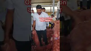 #onion #onion_price_today #onionratetoday #kandabhav #mandi #pyajbhavtoday #pyajbhav #agribusiness
