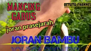 MaNcing Ikan GabusIInajur#joranbambu#Waduk#najurgabus #mancingikangabus#mancing#@Betutuchannel