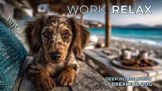 Work Relax Music | Melodic Deep House - No Vocals | Relaxing Work, Study Chill, No Distraction Focus