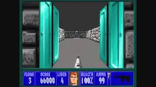 Random Encounter: Wolfenstein (Nazi Killing in 3D)