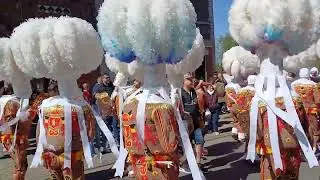 QUI&Eacute;VRAIN 🇧🇪 Cavalcade 2025 (1)