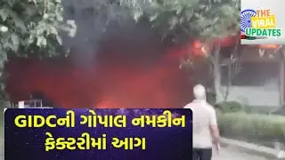 गोपाल नमकीन की फैक्ट्री में आग #rajkot #rajkotfire #gopalnamkeen #breaking #FireRescue #gujarat