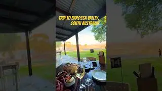 Trip to Barossa Valley, South Australia 🍇🍷#winery #wine #barossa #australia #explore #daytrip