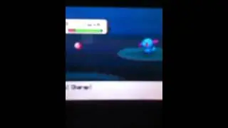 Chatot thinks Saaori is a bitch XD