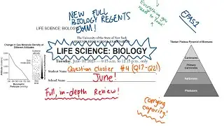 June 2025 Life Science: Biology Regents Review | Cluster 4 (#17-21)