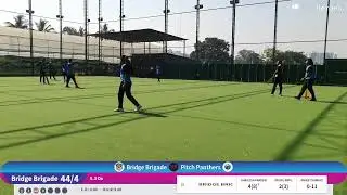 Pitch Panthers vs Bridge Brigade Live Cricket Match | BCPL - Bridgenext Cricket Premier League Live