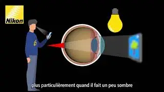 Tout savoir sur les verres progressifs