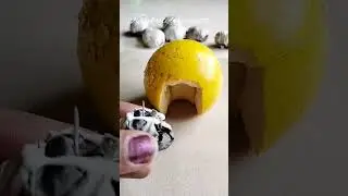 model of animal House-cave#school project of animal House#how to make cave#kalakriti by pranita 👍👉🔔