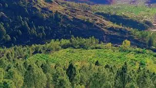 Kpk buner asmani more
