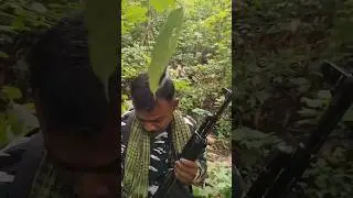 Jungle duty⚔️🥷#crpf #cobra #commando #nsg #army #specialforces #ytshorts #viralvideo #drg #sog #stf