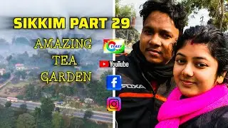 SILIGURI TO HOME (TATARPUR)/AMAZING TEA GARDEN//DRONE SHOT//BREAK FAST IN RESTURANT//SIKKIM PART 29