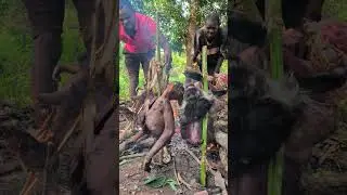 Традиционные блюда из дикорастущих растений, приготовленные и разделенные между людьми.