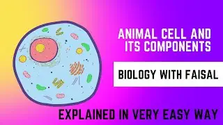 Animal Cell and Its Components Explained | Biology with Faisal | NEET | Boards | Class 9,10,11,12