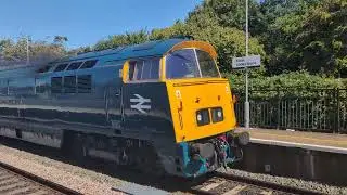 BR Class 52 Diesel-Hydraulic no: D1015 Western Champion @ Filton Abbey Wood (0Z52) 25/08/2025.