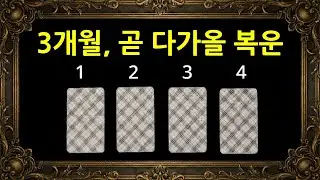 [히든카드확장판] 놓치면 안되는 3개월 후 복운 ; 福運 🧧