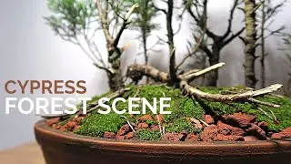 Cypress Forest Scene || Creating a Cypress bonsai forest with live and dead trees