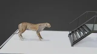 Animating a Cheetah with Advanced Math