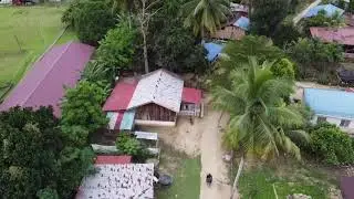 Gusai Jerantut Pahang