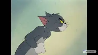 Tom andJerry Vakstudie Muzische Lesidee 2