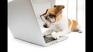 Brain Training for Dogs 2021 | Best Dog training program 2021