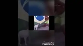 Brazil Dog DANCE TILL YOUR DED MEME