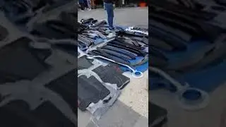 Festibug ( Aguascalientes)