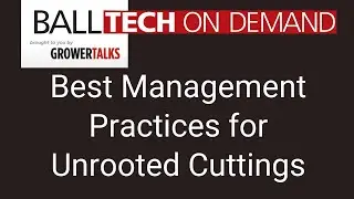 Best Management Practices for Unrooted Cuttings