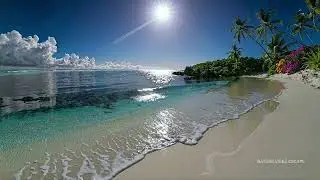 🌴 Peaceful | Kapalua Beach Maui Vibe | Ocean & Nature Sounds | Focus Sleep 4K 🌊