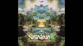 Nataraja3D - Reflectional Symmetry