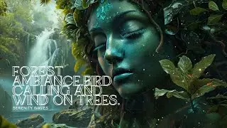 Forest ambiance , birds calling and wind on trees