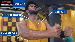 Tuesday - Chest , Upper Back And Lower Abs | 6 Week Transformation Programme | The Official Health
