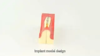 dental education model price China Company,dental model China High Quality Manufacturer,
