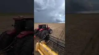 Colhendo soja na New Holland #agro #fazenda #agronegocio #lavoura #trator #vidanocampo  #agronomia